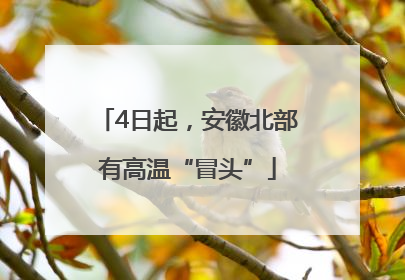 4日起，安徽北部有高温“冒头”